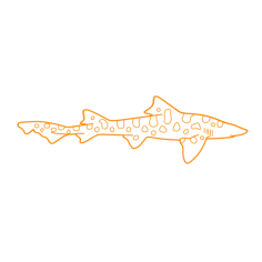 Animals Sharks Leopard Shark Editable Svg Line Art, Free Vectors File